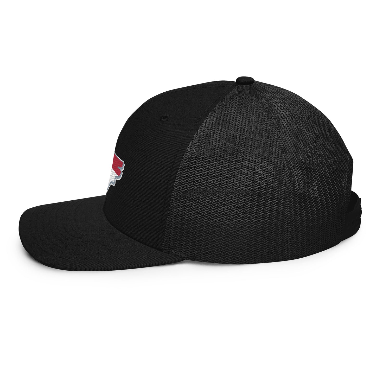 Old North State Structured Hat