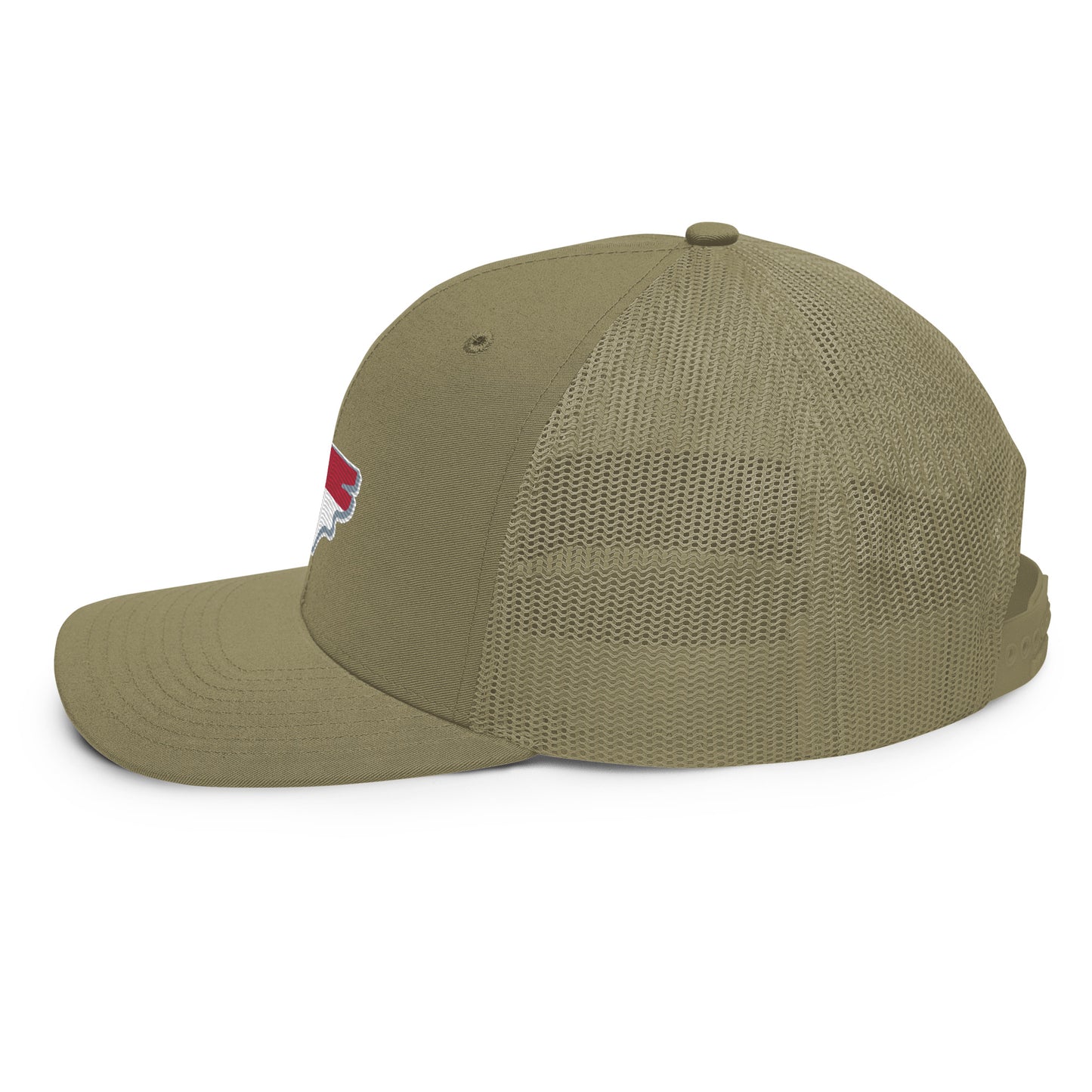 Old North State Structured Hat